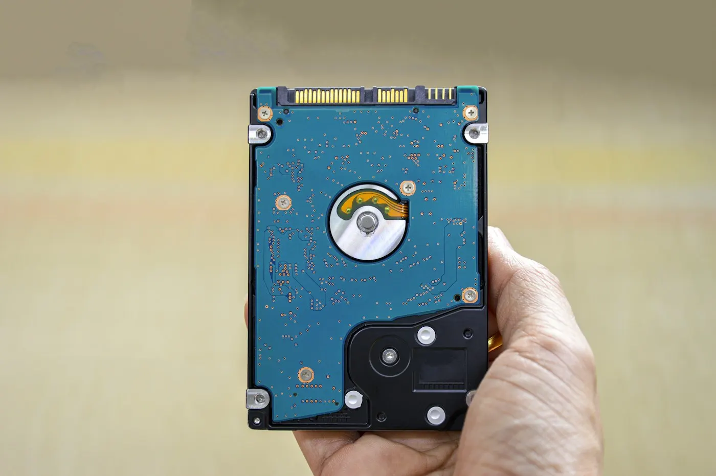 A person holding a small external storage drive