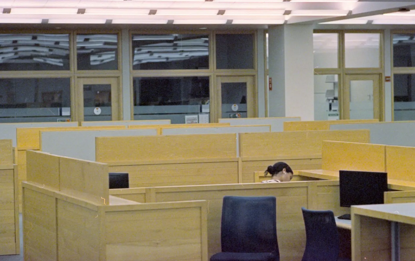 Rows of empty office cubicles