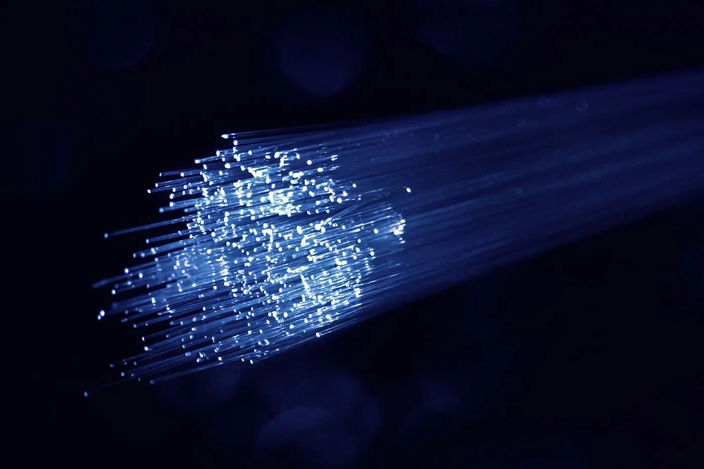 Bundled fiber optic cables glowing blue